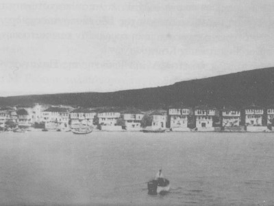 Ekinlik Island general view, 1900 (Iliadis 2012, 251)